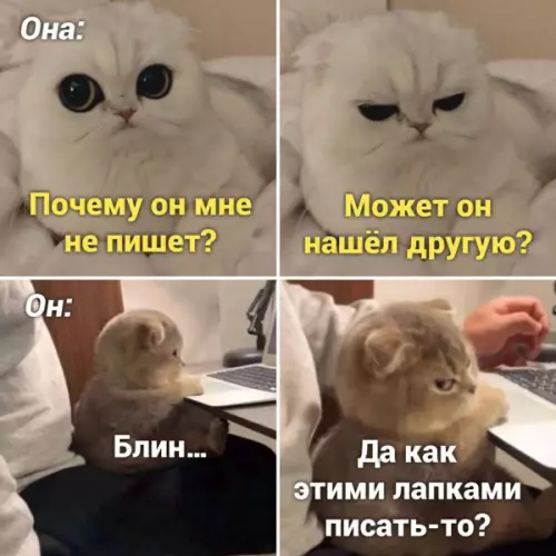 Смешная картинка №652618