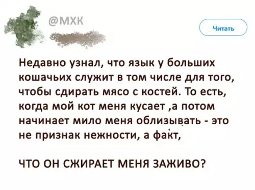 Смешная картинка №286217