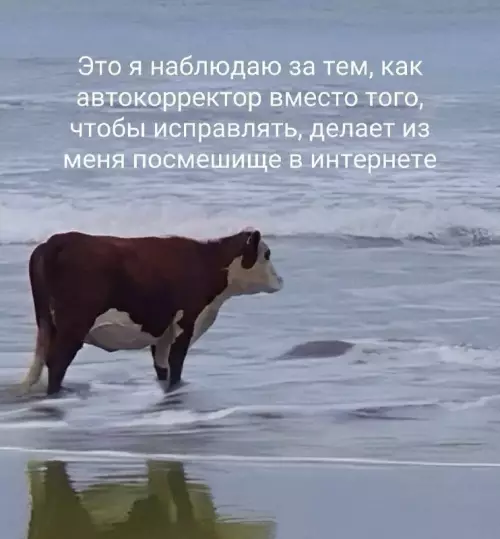 Автокорректор: друг или враг? - Это я наблюдаю за тем, как автокорректор вместо того, чтобы