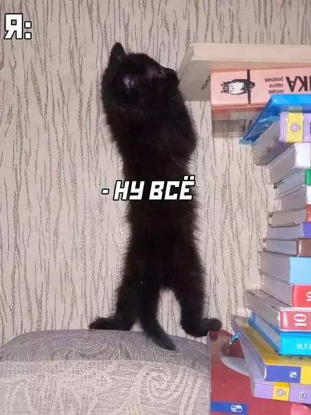 Смешная картинка №623145