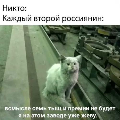 Смешная картинка №382360