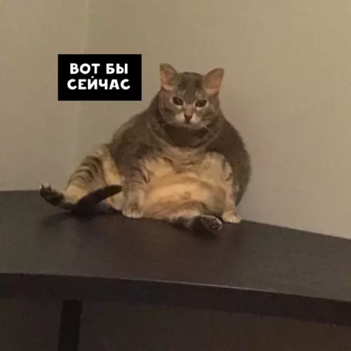 Смешная картинка №421517 А не вот это всё