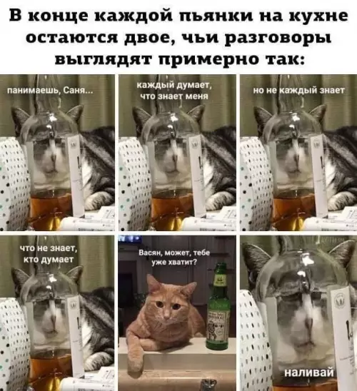 Кухонные философские баттлы 😼🥃 - В конце каждой пьянки на кухне остаются двое, чьи разговоры