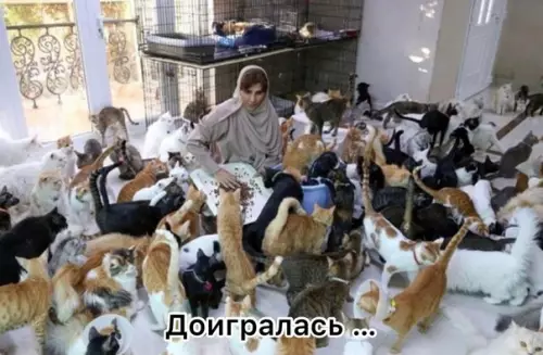 продолжение Смешная картинка №605640 Хорошее желание, это по мне)