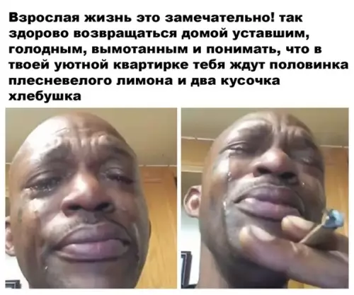Смешная картинка №498737 Радости взрослой жизни