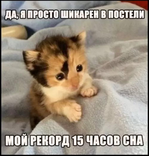 Смешная картинка №778449