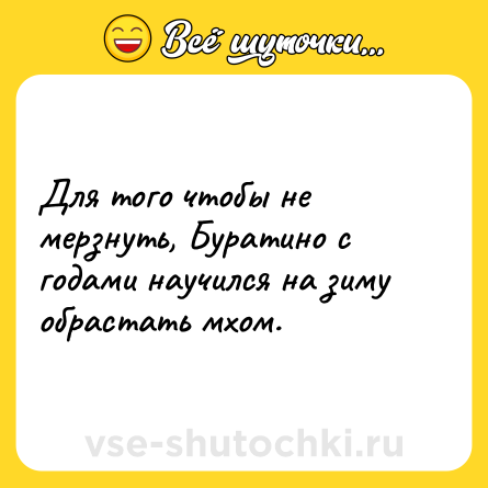 Шутка: Для того чтобы не мерзнуть, Буратино с годами научился на зиму обрастать мхом.