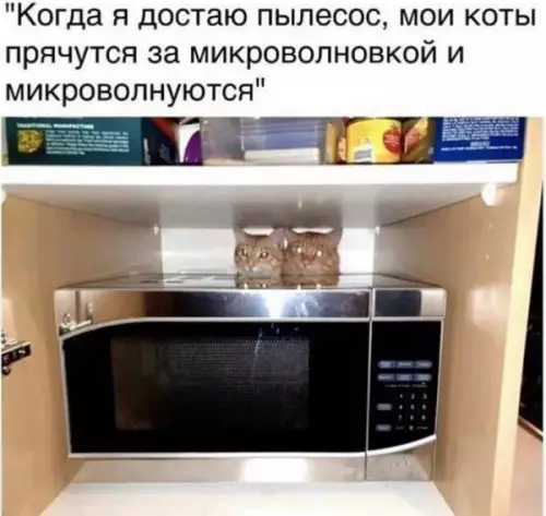 Смешная картинка №653942