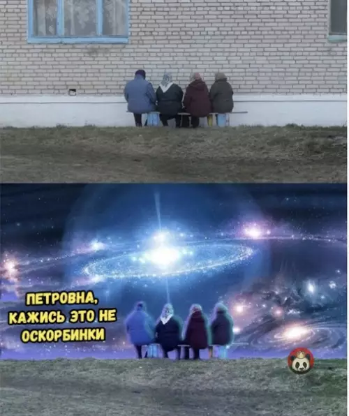 Смешная картинка №575906 Когда перепутала свои и таблетки внука ?