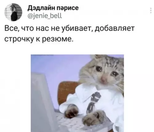 Смешная картинка №683769