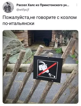 Смешная картинка №663274