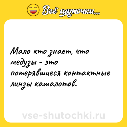 Шутка: Мало кто знает, что медузы - это потерявшиеся контактные линзы кашалотов.