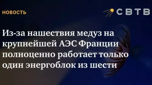 Смешная картинка №821235 Медузы агенты Кремля Новости