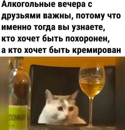 Смешная картинка №787966