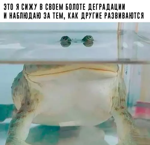 Смешная картинка №628585