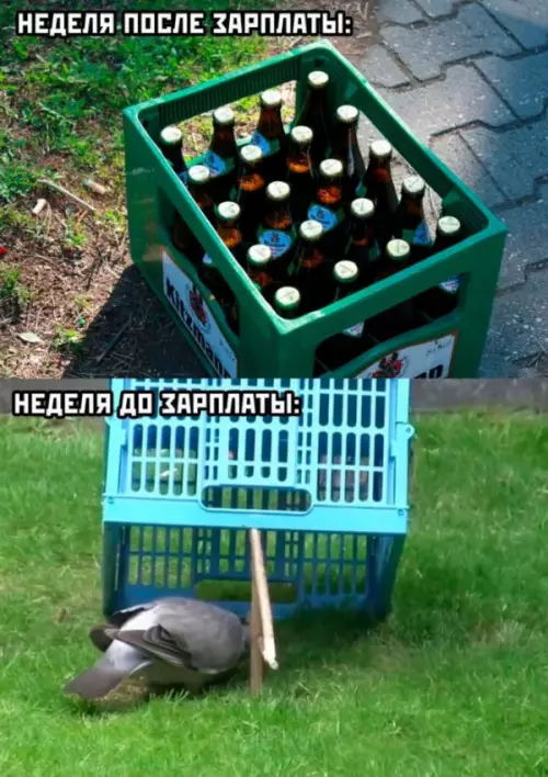 Смешная картинка №654347