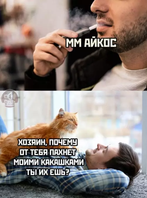 Смешная картинка №648585