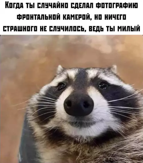 Смешная картинка №383059