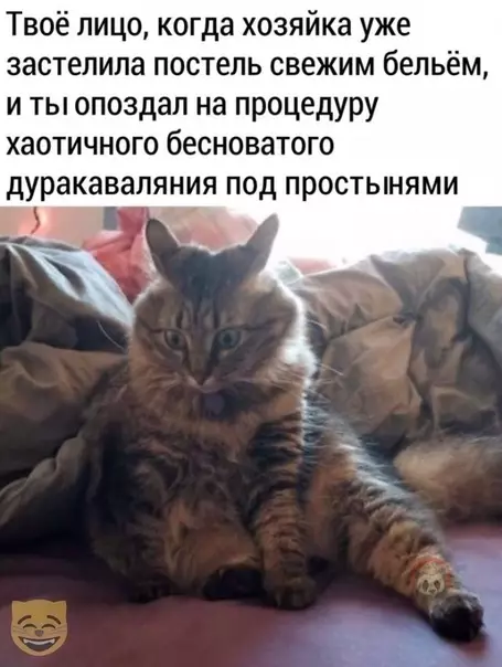Смешная картинка №506375 Какая боль ?