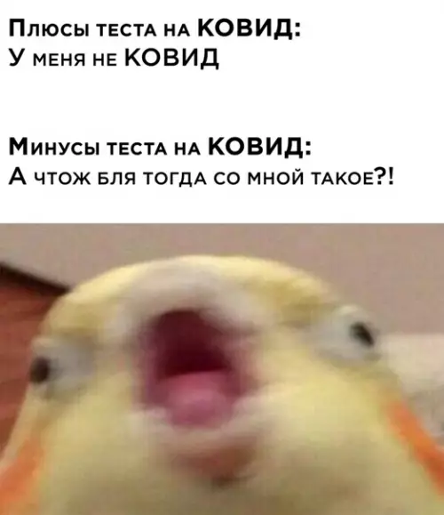 Смешная картинка №545813