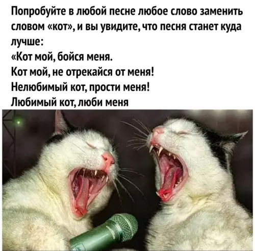 Смешная картинка №635286 Пoжaлyйcтa cкaжитe чтo нe тoлькo я вcё этo пpoпeл