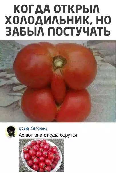 Смешная картинка №574999 холодильник, овощи, показалось