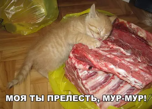 Смешная картинка №223062