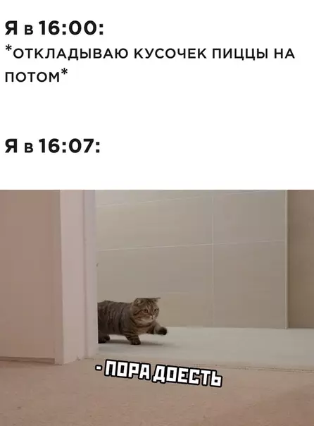 Смешная картинка №513283