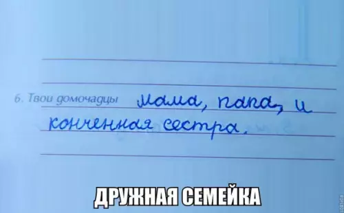 Смешная картинка №253791 сестра