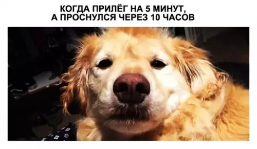 Смешная картинка №285249