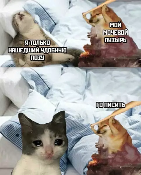 Смешная картинка №556708 Как-то так