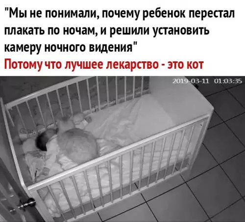 Смешная картинка №449790 Правильные выводы