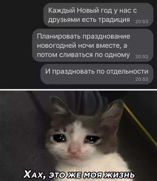 Смешная картинка №543342 Новый год