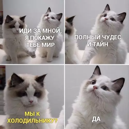 Смешная картинка №561796 Знaeм мы тyдa дopoгy