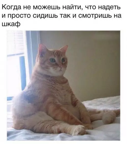 Смешная картинка №379442