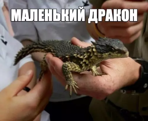 Смешная картинка №298297