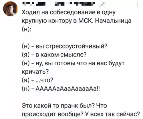 Собеседование в Москве: уровень стресса — бог 🤡 - Ходил на собеседование в одну крупную контору в МСК. Начальница