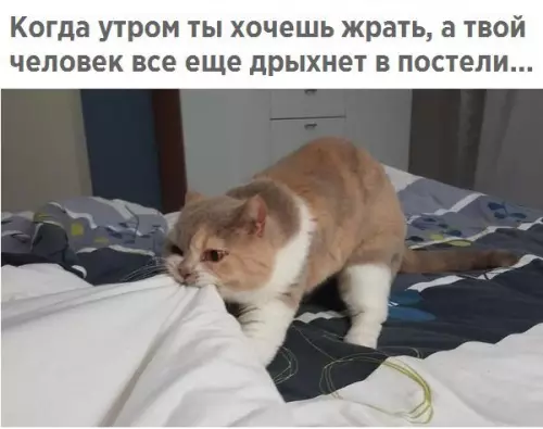 Смешная картинка №242438