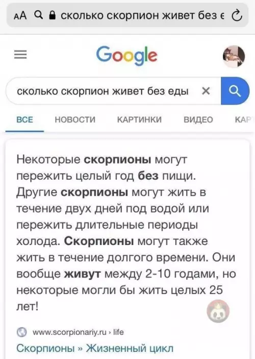 продолжение Смешная картинка №606663 Через годик можно приоткрыть и проверить ?