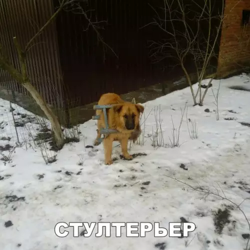Смешная картинка №203531