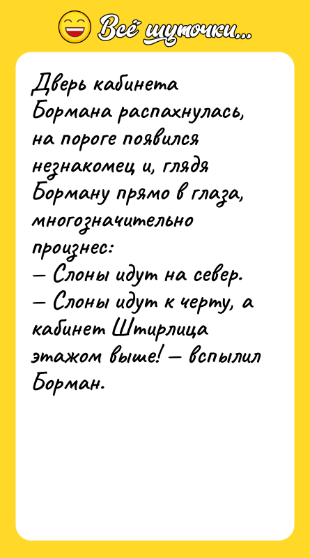 Дверь кабинета Бормана распахнулась, на пороге появился незнакомец и, глядя