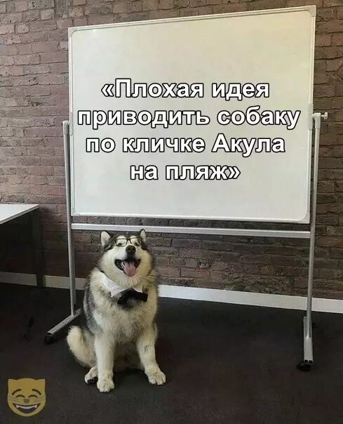 Смешная картинка №356325 #приколы #картинки #мемы ?