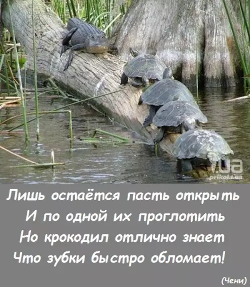 Смешная картинка №187507 Дорогу нам!