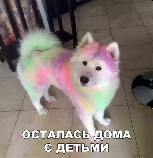 Смешная картинка №277302 собаки, дети