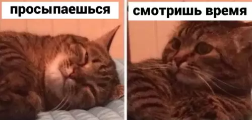 Смешная картинка №621031 Потом перезвoнит