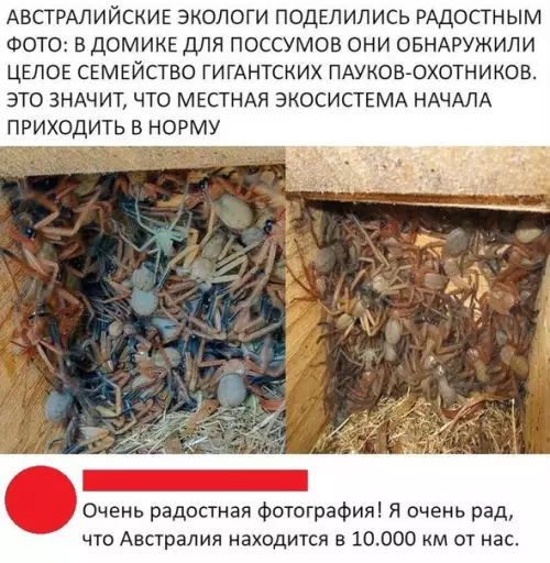 Смешная картинка №428970 Радость-то какая