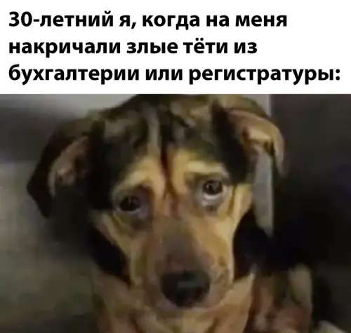 Смешная картинка №708006