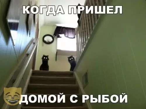 Смешная картинка №364921 #приколы #картинки #мемы ?