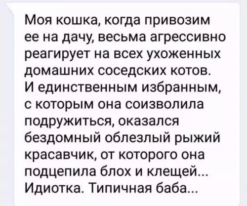 Смешная картинка №243650