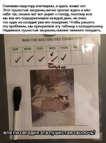 Смешная картинка №314817